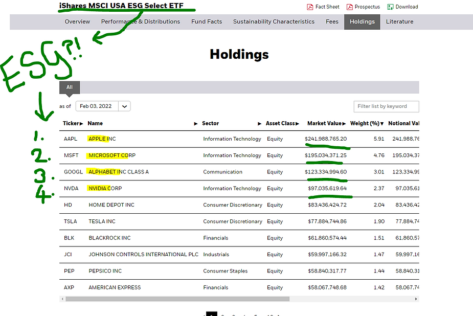 holding-esg