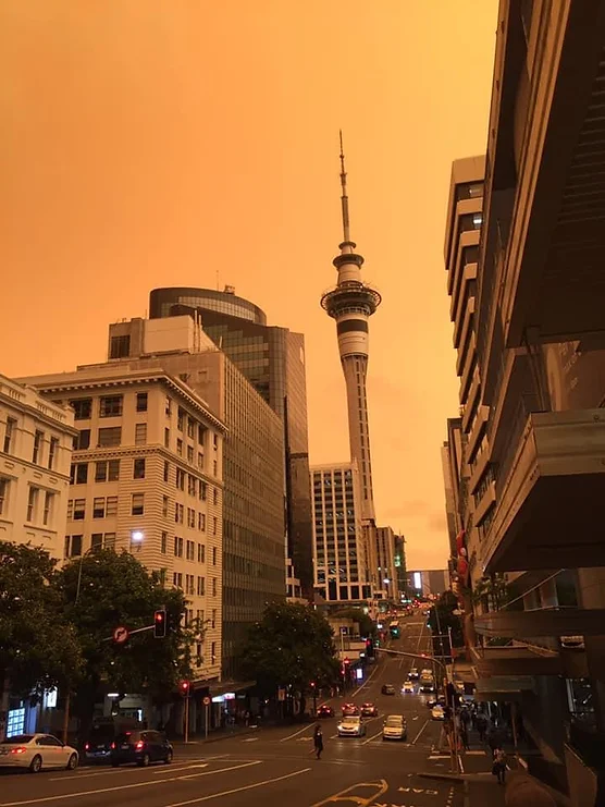 auckland-2020