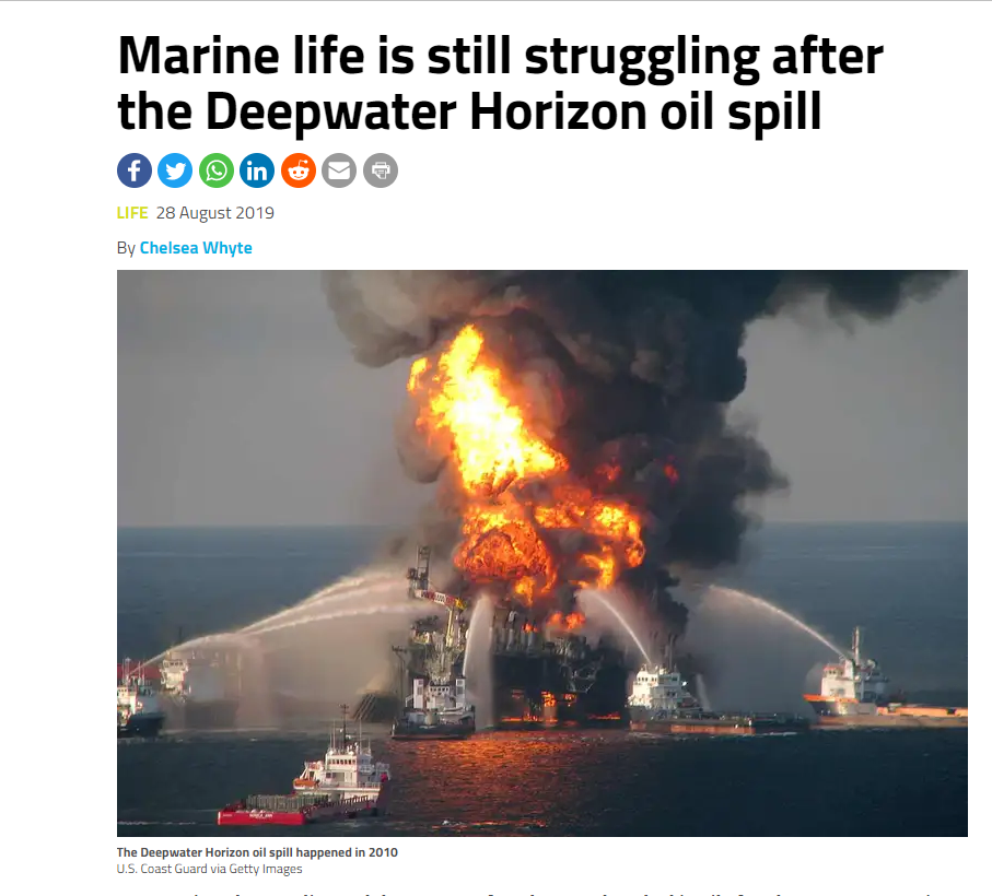 marine-life-still-struggling