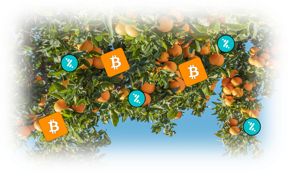 Hannah's blog: Orange tree with Bizum and bitcoin logos